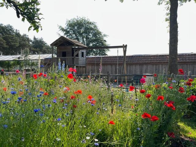Logies Tuin Der Zinnen Rijkevorsel Exteriér fotografie