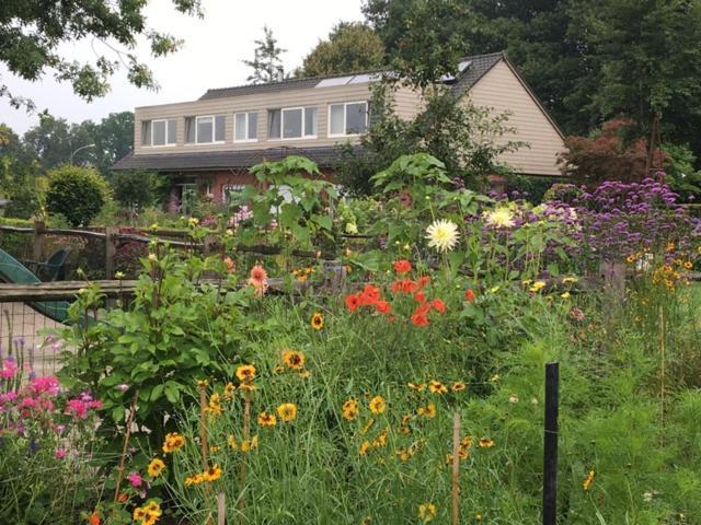 Logies Tuin Der Zinnen Rijkevorsel Exteriér fotografie