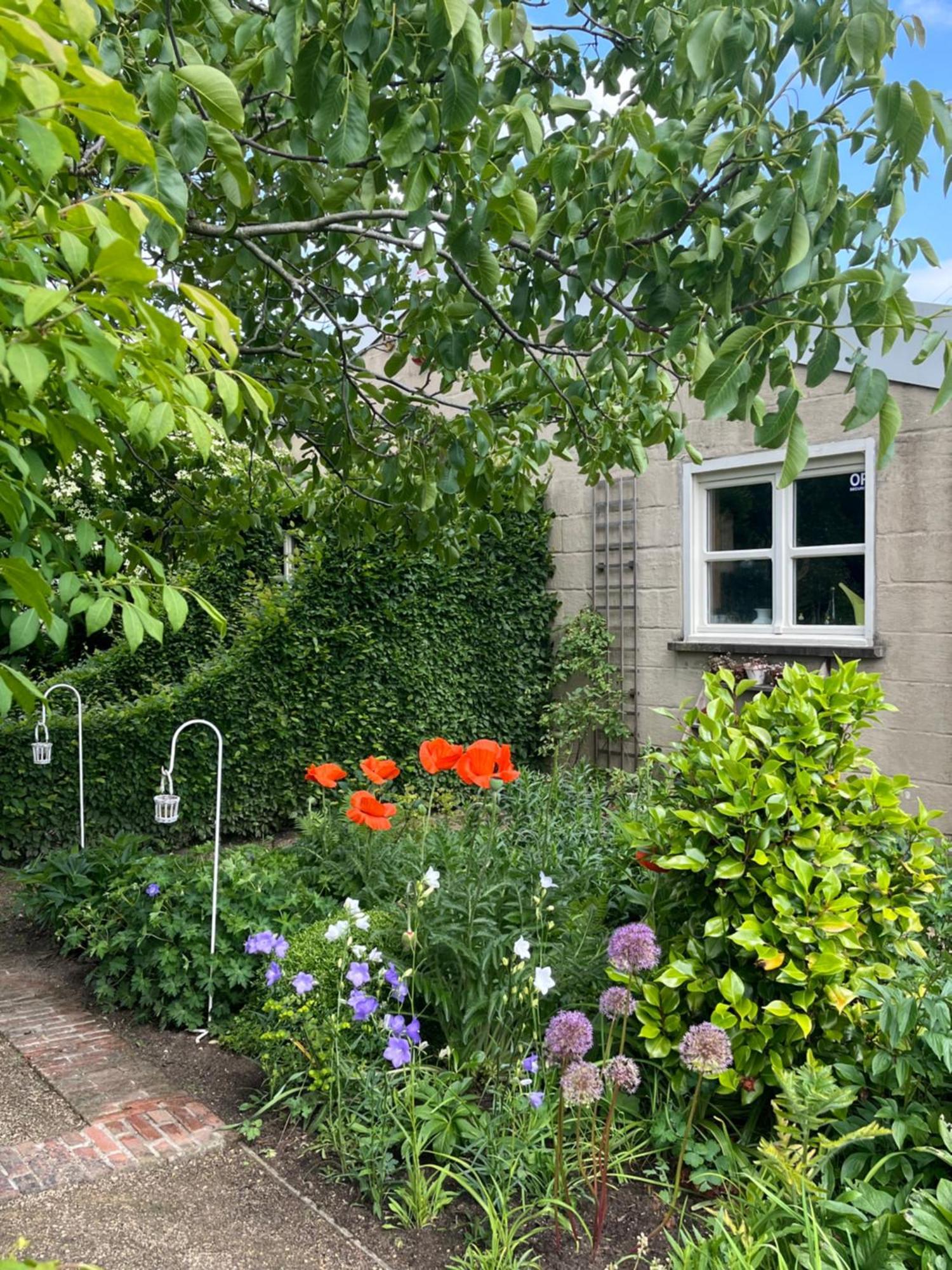 Logies Tuin Der Zinnen Rijkevorsel Exteriér fotografie