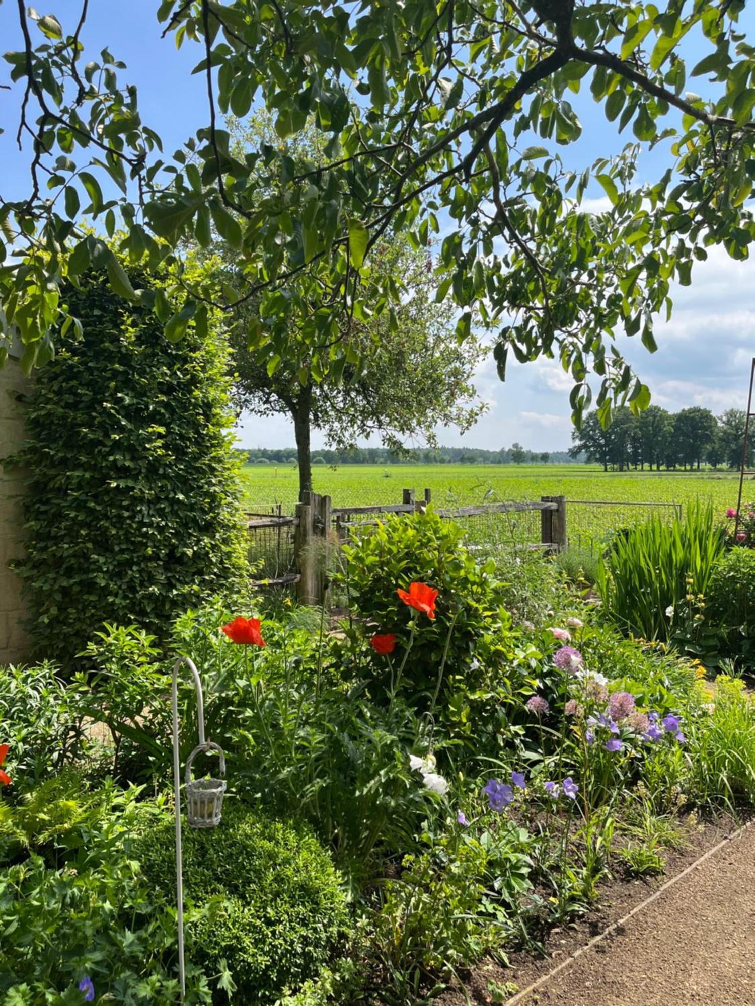 Logies Tuin Der Zinnen Rijkevorsel Exteriér fotografie
