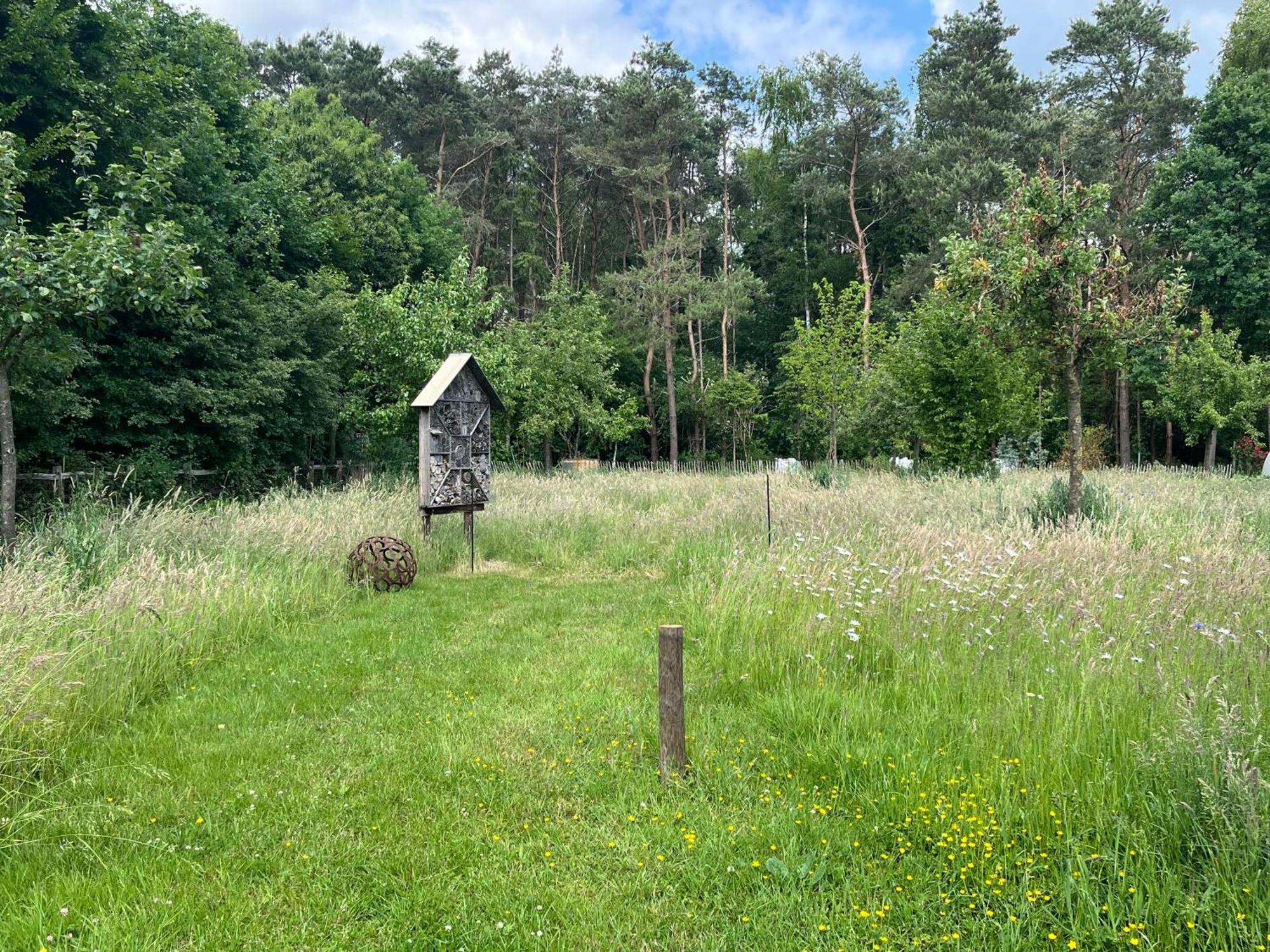 Logies Tuin Der Zinnen Rijkevorsel Exteriér fotografie