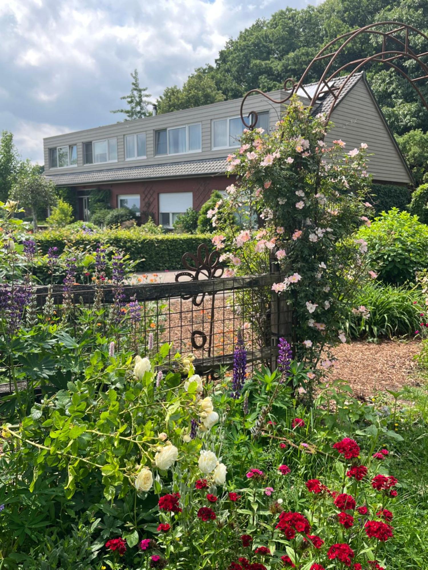 Logies Tuin Der Zinnen Rijkevorsel Exteriér fotografie