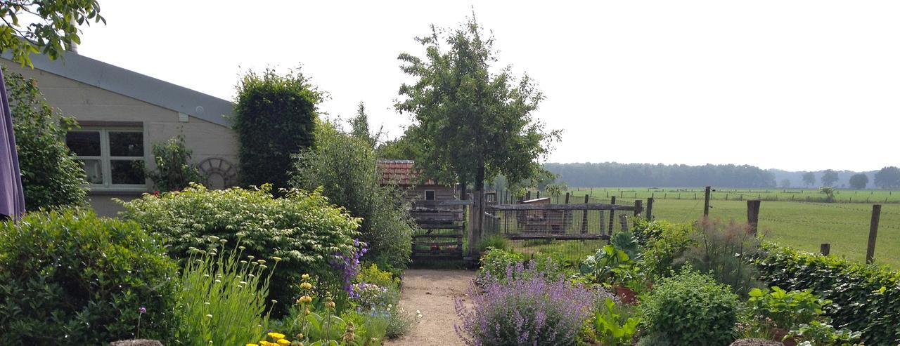Logies Tuin Der Zinnen Rijkevorsel Exteriér fotografie